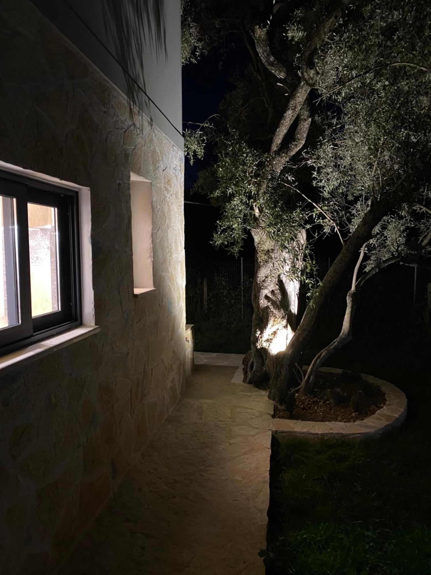 Olive Tree Apartments Lefkada City ภายนอก รูปภาพ